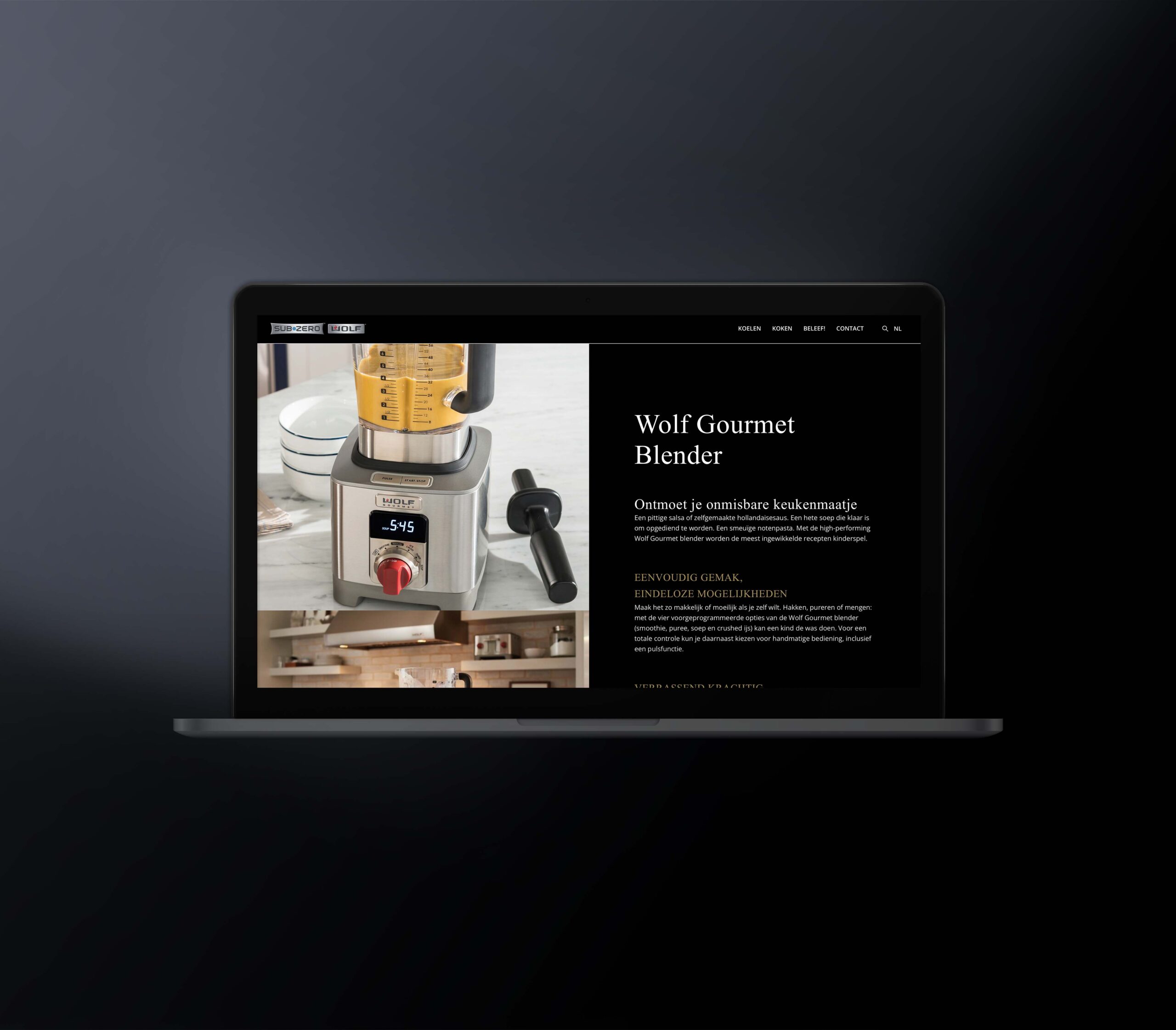 Website ontwerp gemaakt door reclamebureau Burowit in Kampen